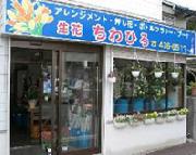 生花 ちわひろ 画像