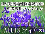 藤原商店