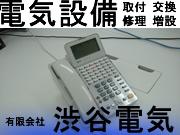 有限会社 渋谷電気