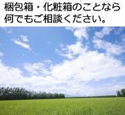 株式会社 淀紙器製作所